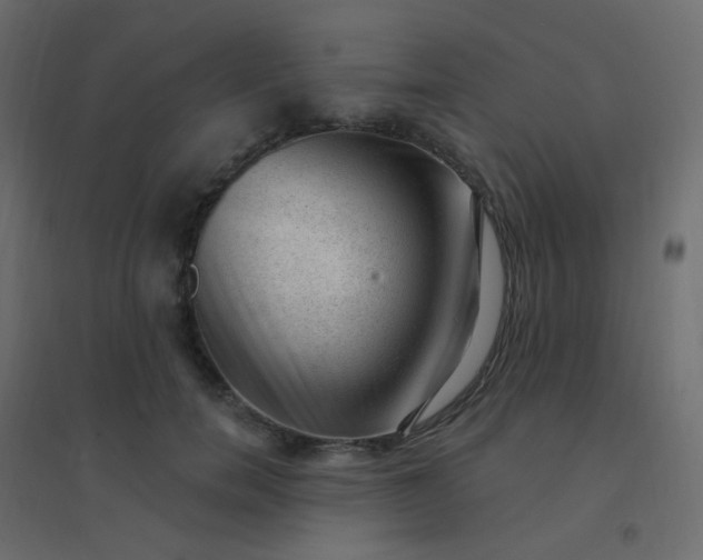 X0000094940750200712131559