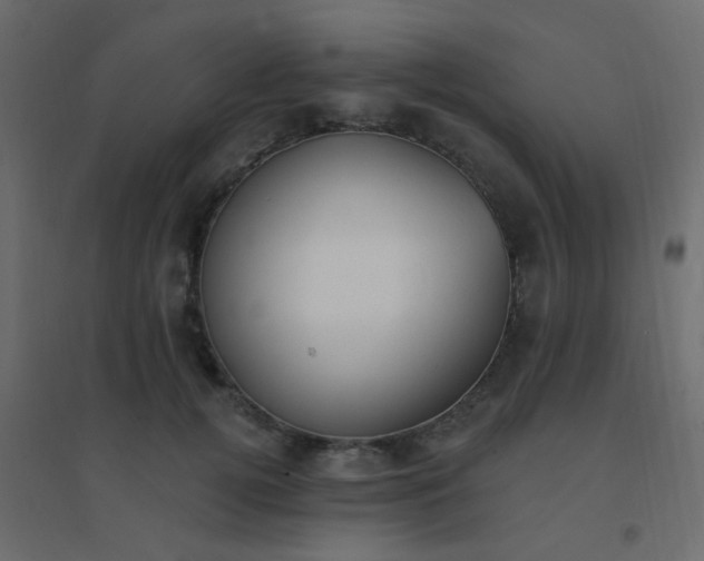 X0000094940752200712131559