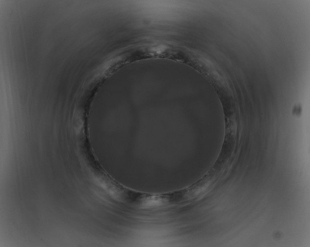 X0000094940754200712131559