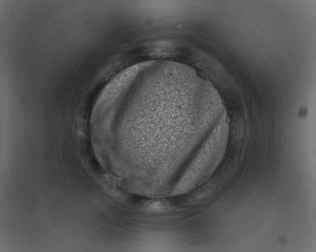 X0000094940755200712131559