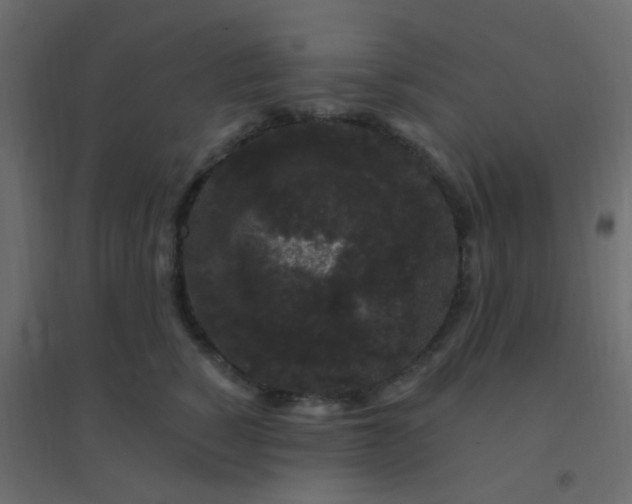 X0000094940760200712131559