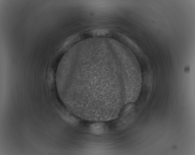 X0000094940761200712131559