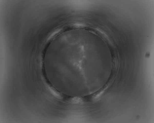 X0000094940762200712131559