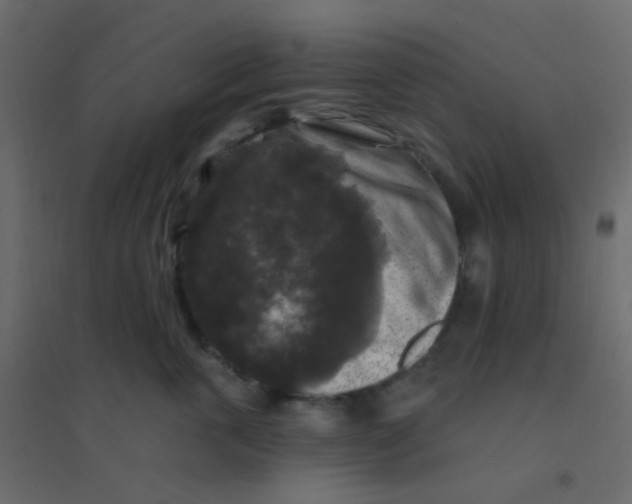 X0000094940763200712131600