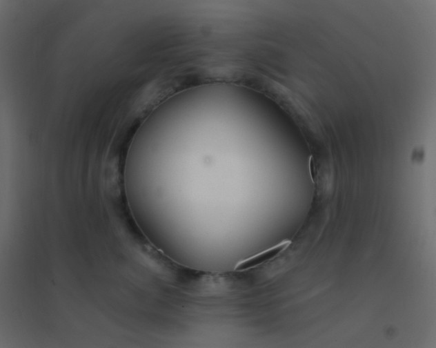 X0000094940764200712131600