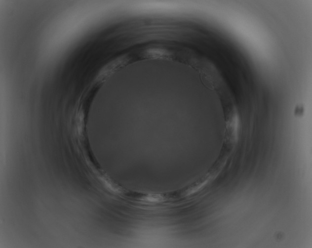 X0000094940765200712131600