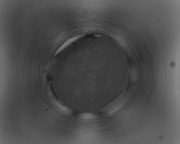 X0000094940766200712131600