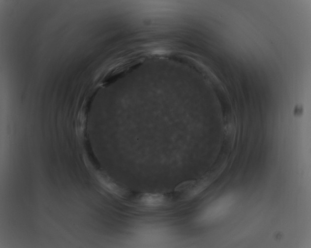 X0000094940767200712131600