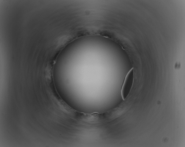 X0000094940768200712131600