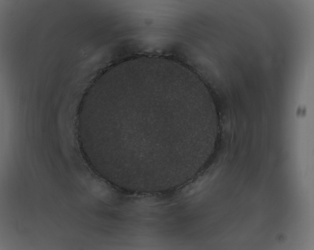 X0000094940769200712131559