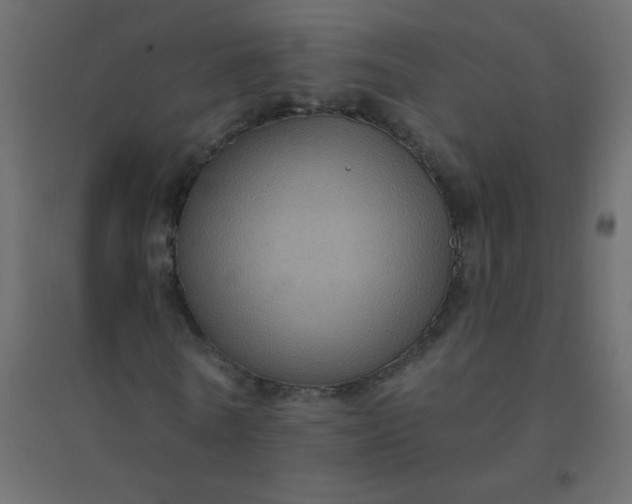 X0000094940770200712131559