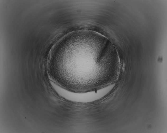 X0000094940771200712131559