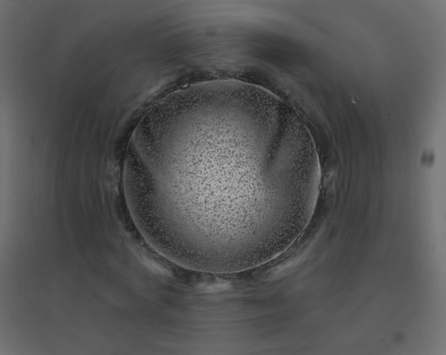 X0000094940772200712131559