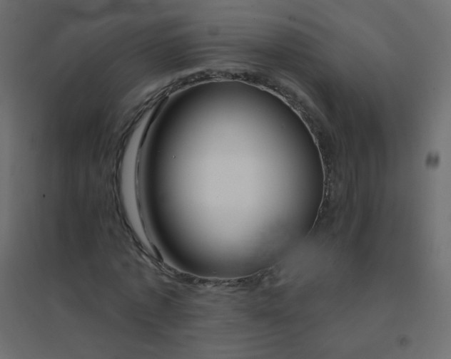 X0000094940773200712131559