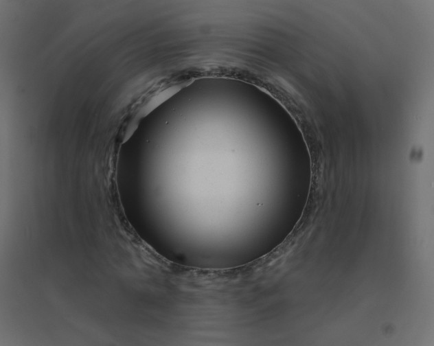 X0000094940774200712131559