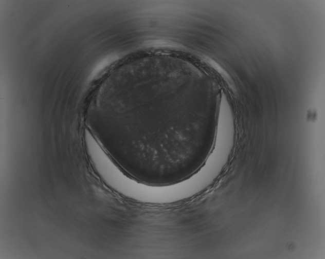 X0000094940775200712131559