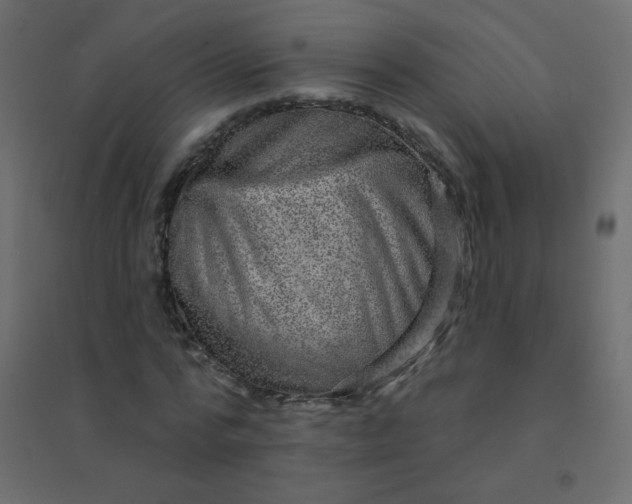 X0000094940776200712131559