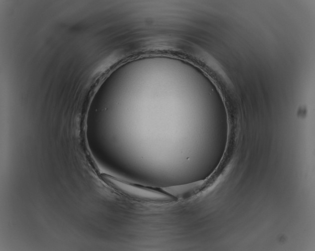 X0000094940777200712131559