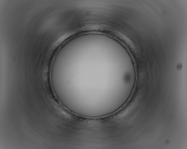 X0000094940778200712131559