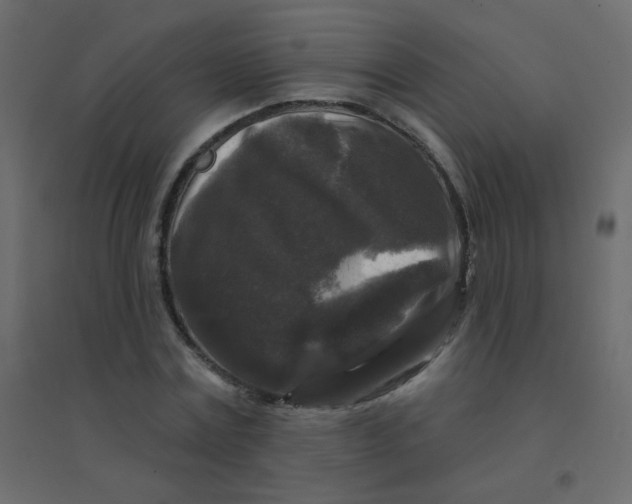 X0000094940779200712131559