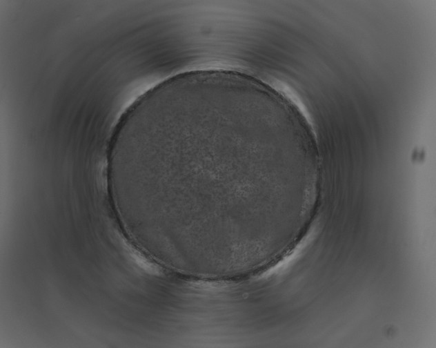 X0000094940781200712131559