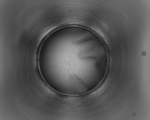 X0000094940782200712131559