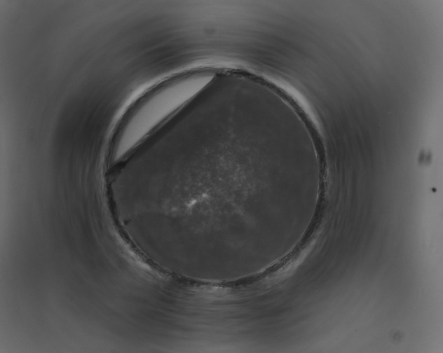 X0000094940783200712131559