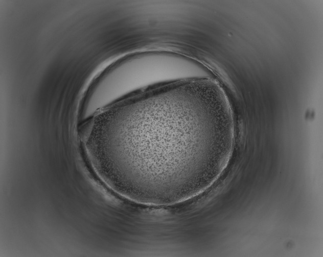 X0000094940784200712131559