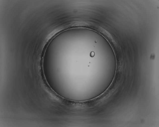 X0000094940786200712131559