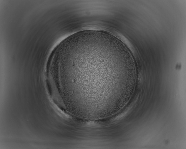 X0000094940787200712131559