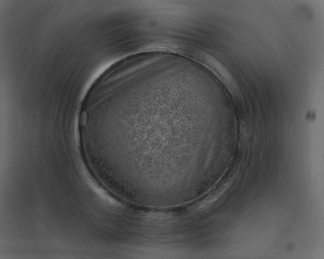 X0000094940788200712131559