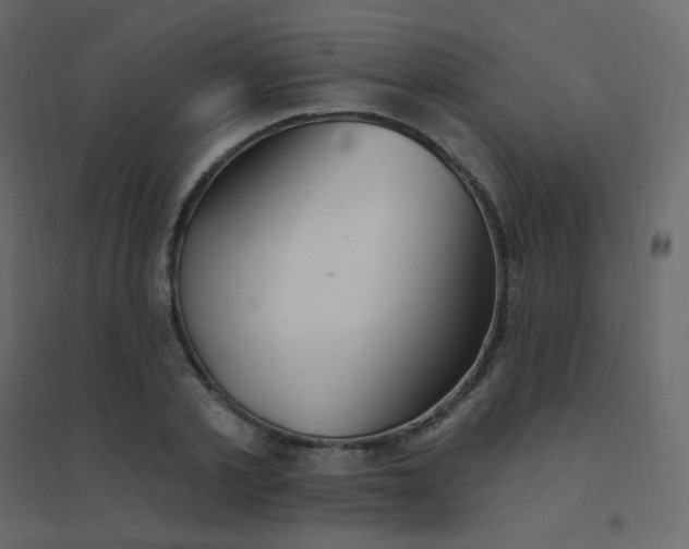 X0000094940789200712131559