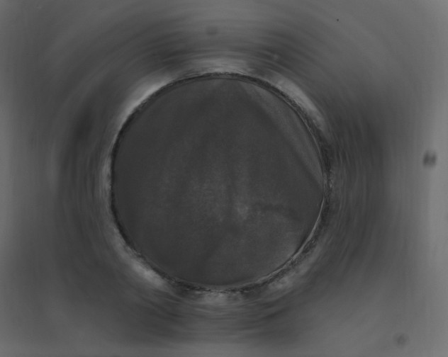 X0000094940790200712131559