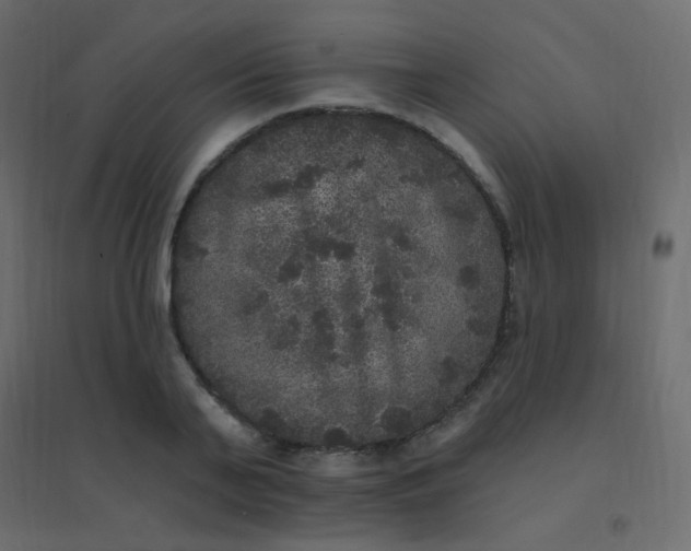 X0000094940791200712131559