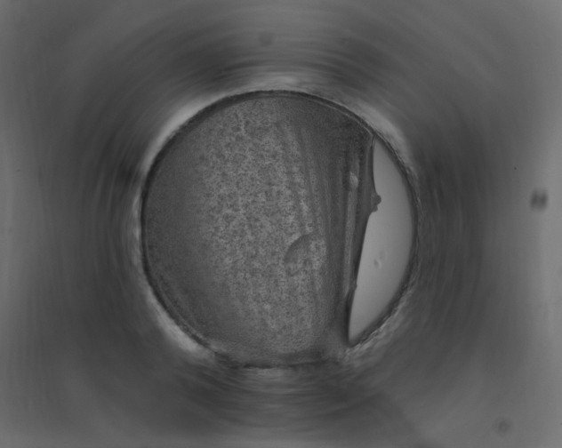 X0000094940792200712131559