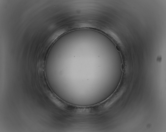 X0000094940793200712131559