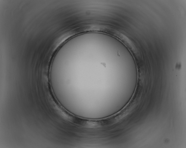 X0000094940794200712131559