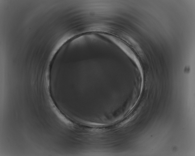 X0000094940796200712131559