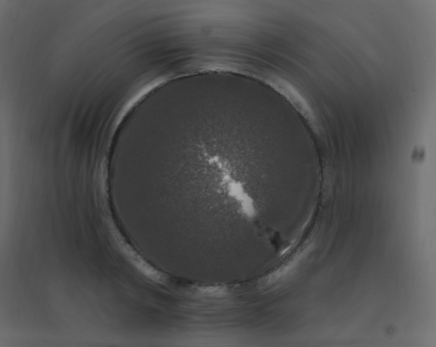 X0000094940798200712131559