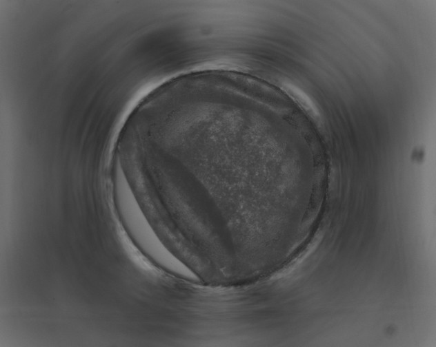 X0000094940800200712131558