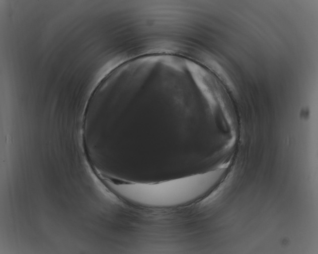 X0000094940802200712131558