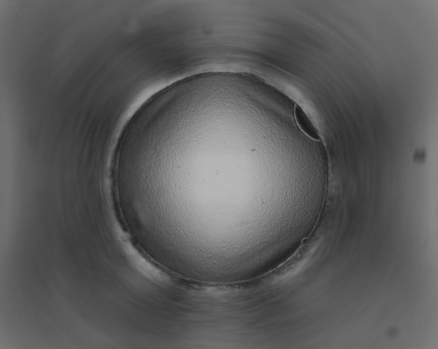 X0000094940803200712131558