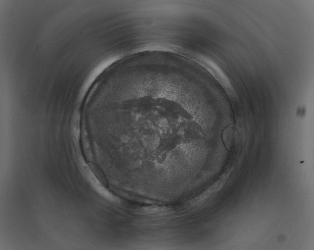 X0000094940804200712131558