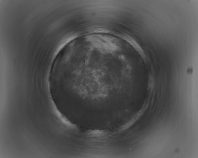 X0000094940806200712131558