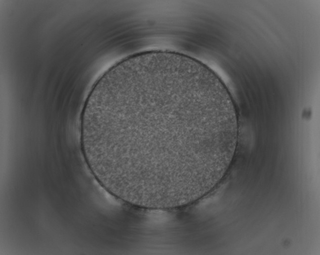 X0000094940807200712131558