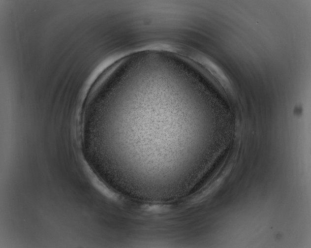 X0000094940808200712131558