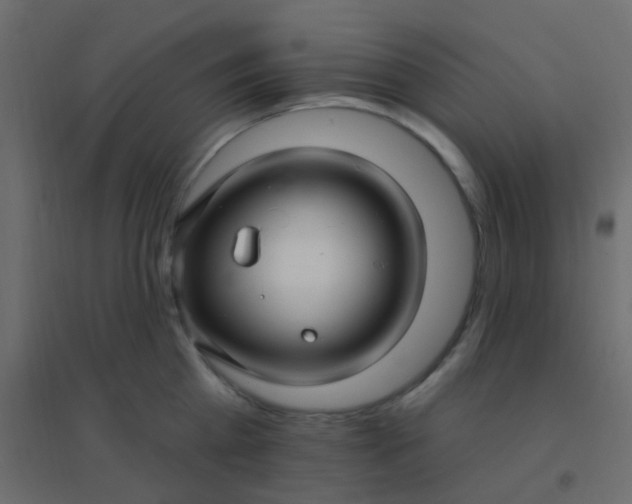 X0000094940809200712131558