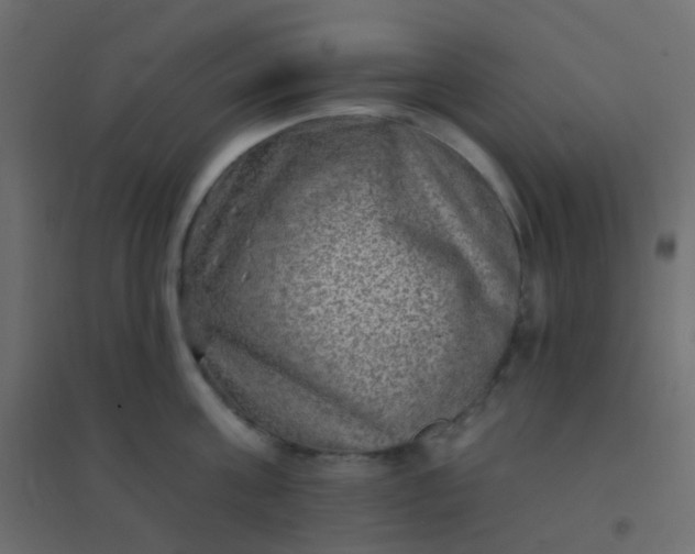 X0000094940811200712131558