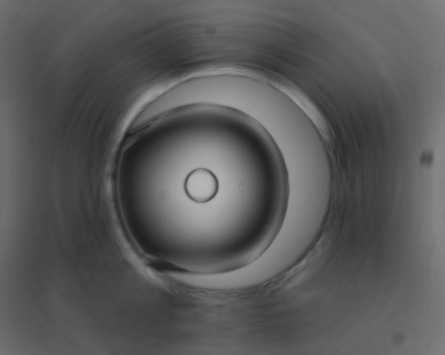 X0000094940813200712131558