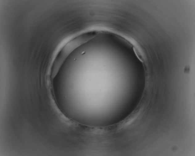 X0000094940815200712131558